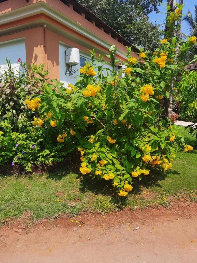 Villa Sunflower Cavelossim Ngoại thất bức ảnh